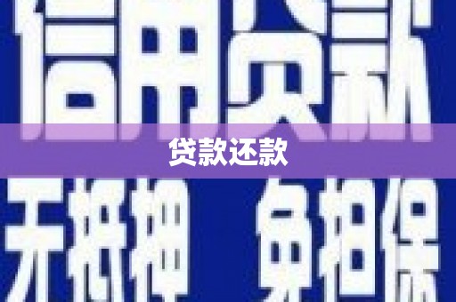 南岸贷款还款