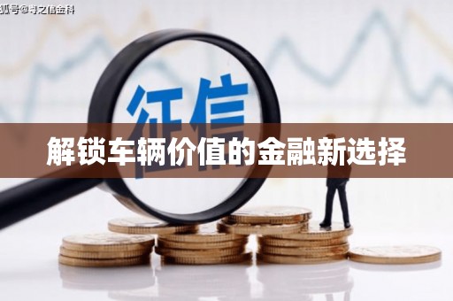 南岸解锁车辆价值的金融新选择