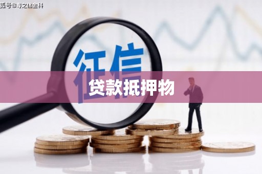 南岸贷款抵押物
