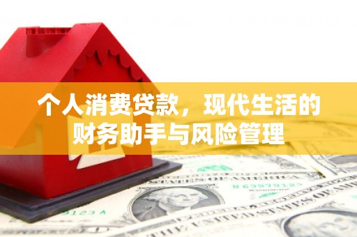南岸个人消费贷款，现代生活的财务助手与风险管理