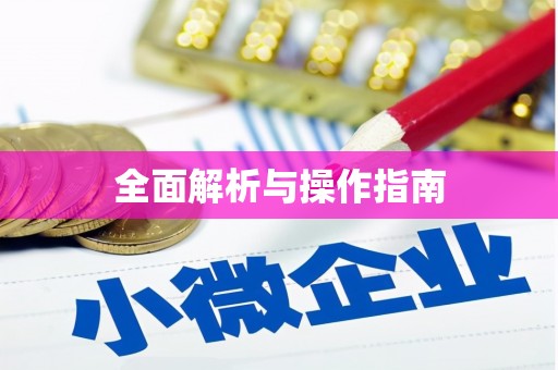 南岸全面解析与操作指南