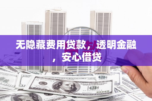 南岸无隐藏费用贷款，透明金融，安心借贷