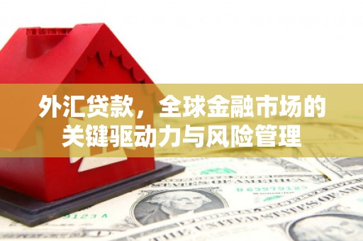 南岸外汇贷款，全球金融市场的关键驱动力与风险管理