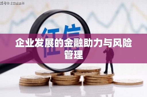 南岸企业发展的金融助力与风险管理