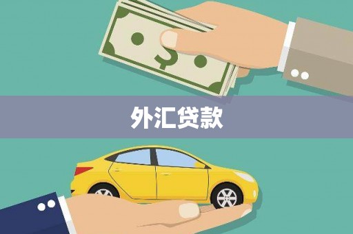 南岸外汇贷款