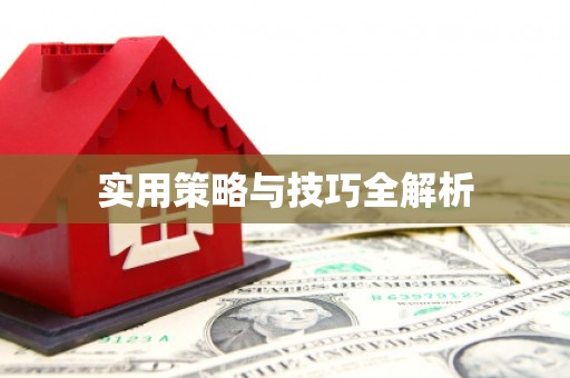 南岸实用策略与技巧全解析