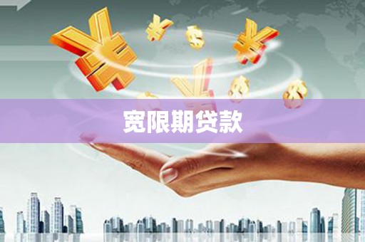 南岸宽限期贷款
