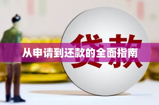 南岸从申请到还款的全面指南