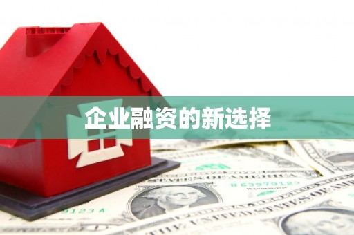 南岸企业融资的新选择
