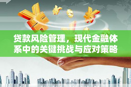 南岸贷款风险管理，现代金融体系中的关键挑战与应对策略