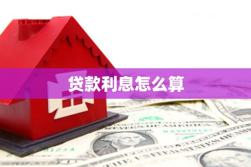 南岸贷款利息怎么算