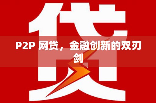 南岸P2P 网贷，金融创新的双刃剑