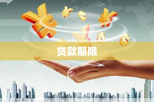 南岸贷款期限