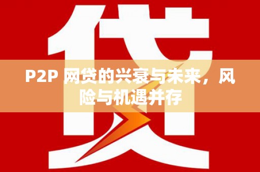 南岸P2P 网贷的兴衰与未来，风险与机遇并存