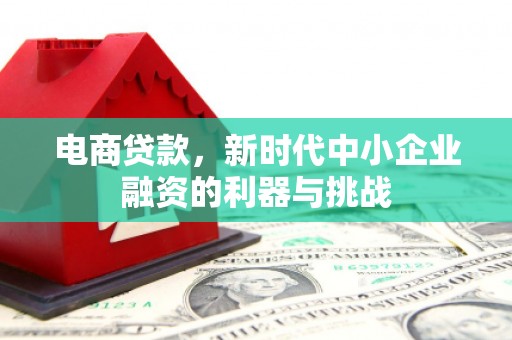 南岸电商贷款，新时代中小企业融资的利器与挑战