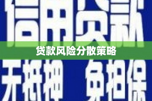 南岸贷款风险分散策略