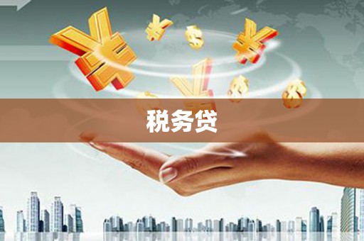 南岸税务贷