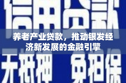 南岸养老产业贷款，推动银发经济新发展的金融引擎