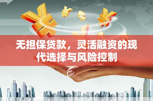 南岸无担保贷款，灵活融资的现代选择与风险控制