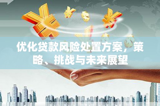 南岸优化贷款风险处置方案，策略、挑战与未来展望