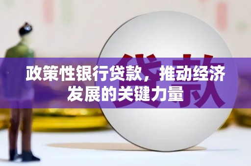南岸政策性银行贷款，推动经济发展的关键力量