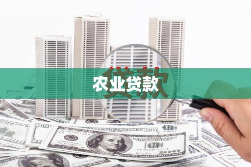 南岸农业贷款