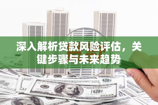 南岸深入解析贷款风险评估，关键步骤与未来趋势