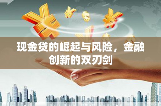南岸现金贷的崛起与风险，金融创新的双刃剑