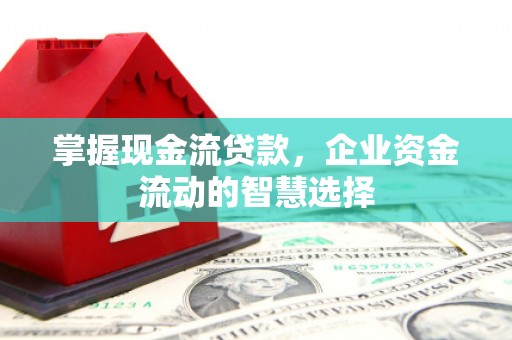 南岸掌握现金流贷款，企业资金流动的智慧选择