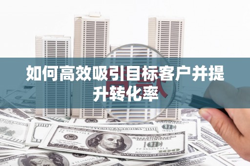 南岸如何高效吸引目标客户并提升转化率