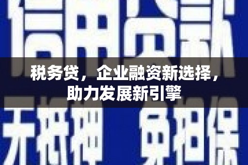 南岸税务贷，企业融资新选择，助力发展新引擎
