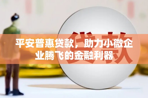 南岸平安普惠贷款，助力小微企业腾飞的金融利器