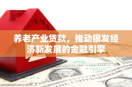 南岸养老产业贷款，推动银发经济新发展的金融引擎