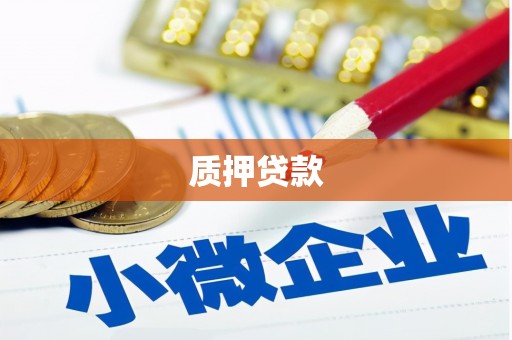 南岸质押贷款