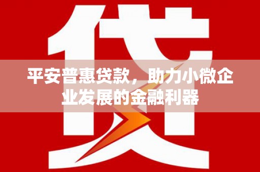 南岸平安普惠贷款，助力小微企业发展的金融利器