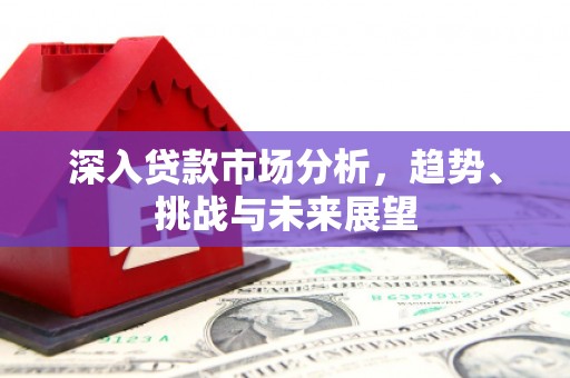 南岸深入贷款市场分析，趋势、挑战与未来展望