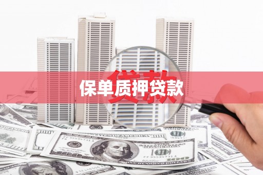 南岸保单质押贷款