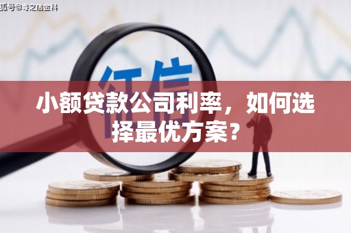 南岸小额贷款公司利率，如何选择最优方案？