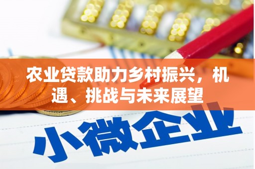 南岸农业贷款助力乡村振兴，机遇、挑战与未来展望