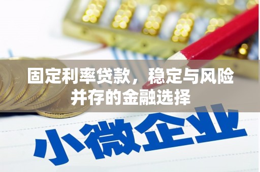 南岸固定利率贷款，稳定与风险并存的金融选择