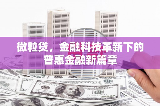 南岸微粒贷，金融科技革新下的普惠金融新篇章