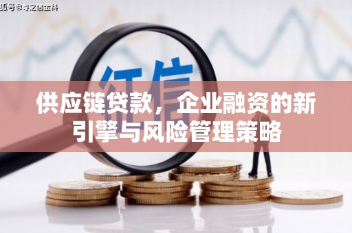 南岸供应链贷款，企业融资的新引擎与风险管理策略