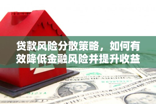 南岸贷款风险分散策略，如何有效降低金融风险并提升收益