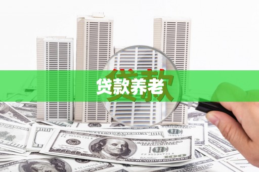 南岸贷款养老