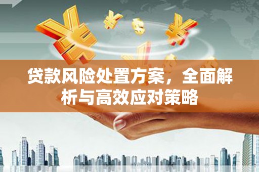 南岸贷款风险处置方案，全面解析与高效应对策略