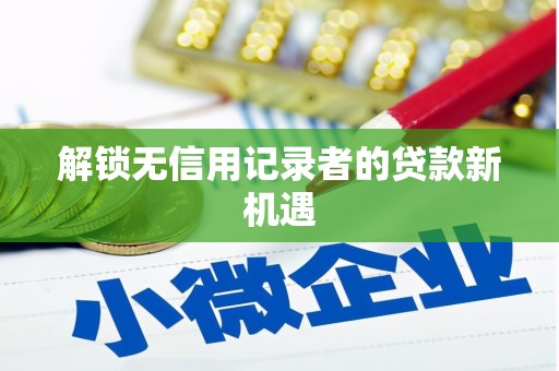 南岸解锁无信用记录者的贷款新机遇