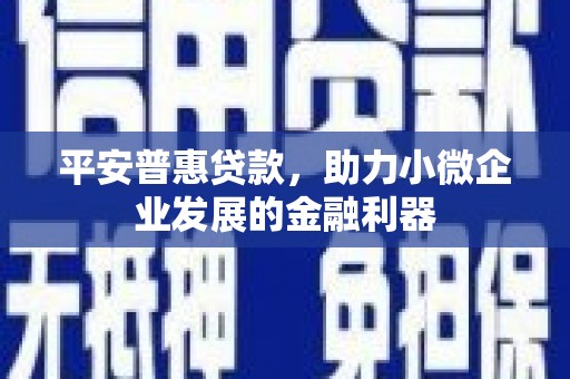 南岸平安普惠贷款，助力小微企业发展的金融利器