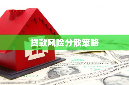 南岸贷款风险分散策略