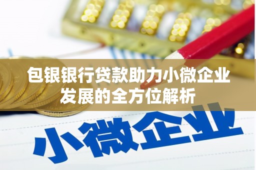 南岸包银银行贷款助力小微企业发展的全方位解析