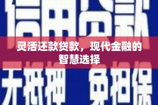 南岸灵活还款贷款，现代金融的智慧选择